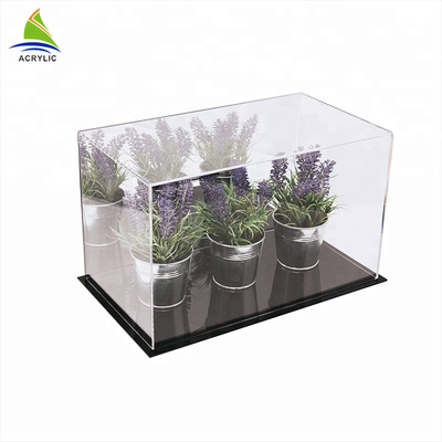 سازگار با محیط زیست اکریلیک جعبه ذخیره سازی Plexiglass اسباب بازی اکریلیک مورد نمایش